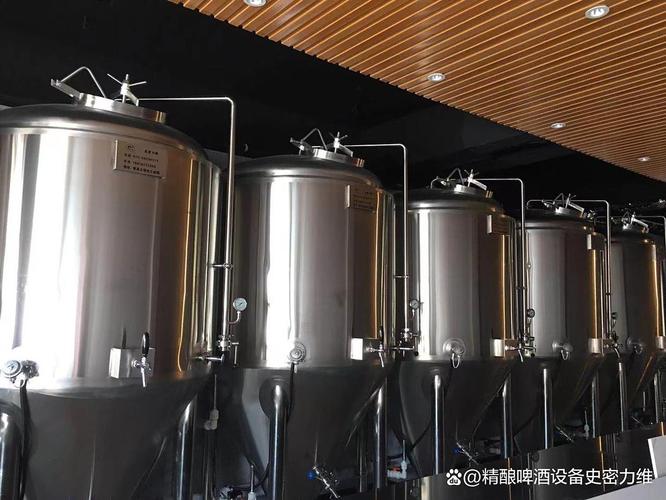 陆河开精酿吧原浆自酿啤酒设备多少钱一套?家用商用怎么选不踩坑